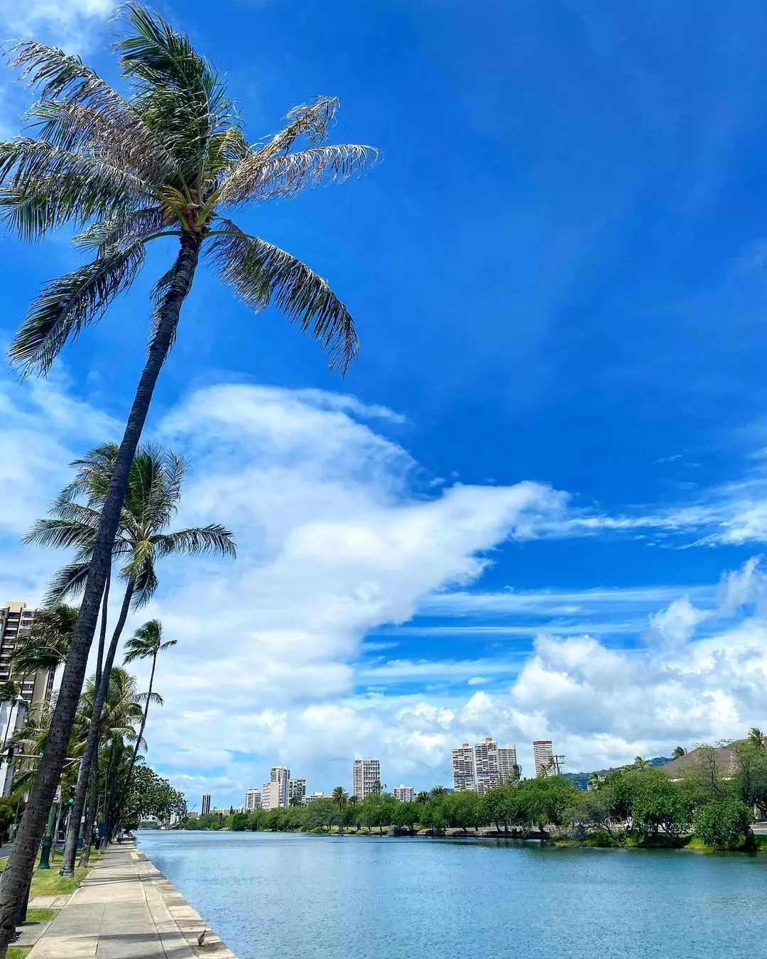 アラワイ (Ala Wai)